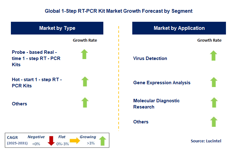 1-Step RT-PCR Kit Market by Segment
